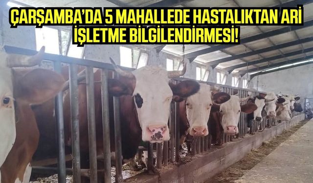 Çarşamba’da hayvancılara hastalıktan ari işletme !