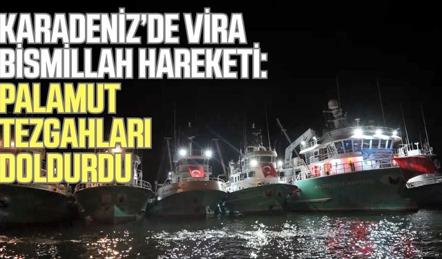Karadeniz’de vira bismillah bereketi: Palamut tezgâhları doldurdu!