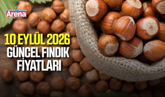 10 Eylül 2026 güncel fındık fiyatları