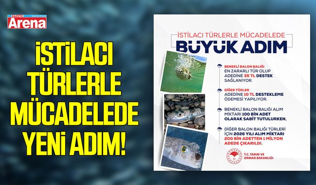 İstilacı türlerle mücadelede yeni adım! Balon balığı alım kotası 1 milyon adede çıkarıldı