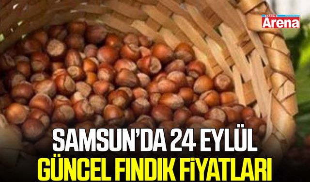 Samsun’da 24 Eylül güncel fındık fiyatları belli oldu