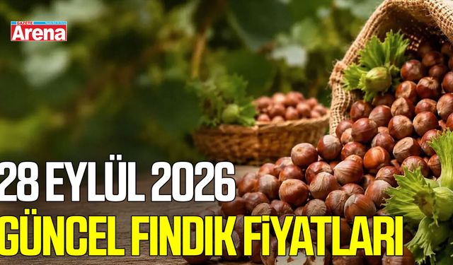 28 Eylül 2026 güncel fındık fiyatları