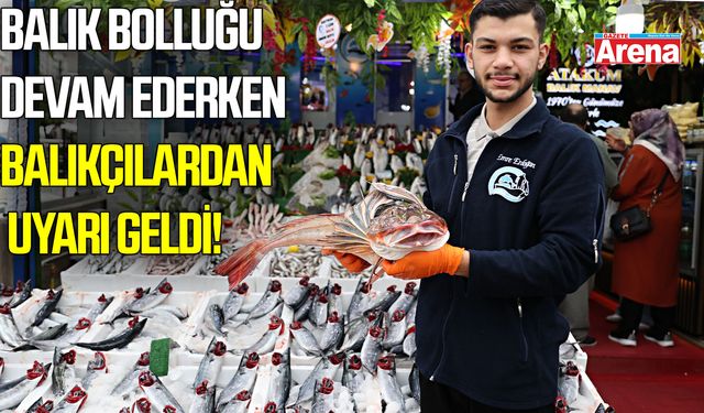 Samsun'da balık bolluğu devam ediyorken balıkçılar uyardı!