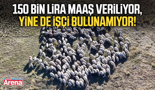150 bin lira maaş veriliyor, yine de işçi bulunamıyor!