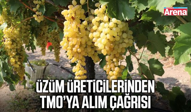 Üzüm üreticilerinden TMO’ya alım çağrısı