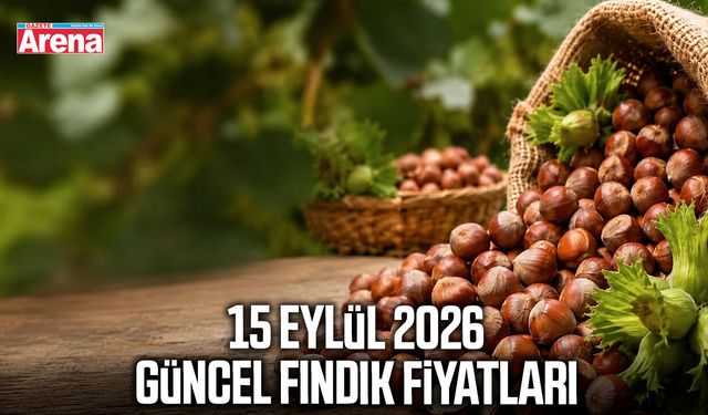 15 Eylül 2026 güncel fındık fiyatları
