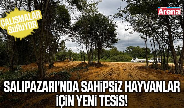 Salıpazarı'nda sahipsiz hayvanlar için yeni tesis!