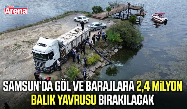 Samsun’da göl ve barajlara 2,4 milyon balık yavrusu bırakılacak