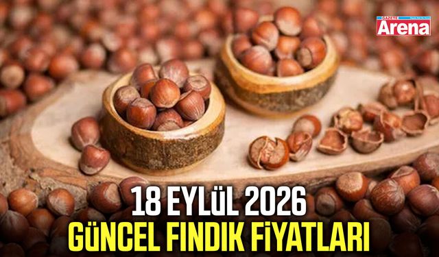 18 Eylül 2026 güncel fındık fiyatları