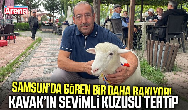 Samsun’da gönülleri fethetti! Kavak’ın maskotu Tertip