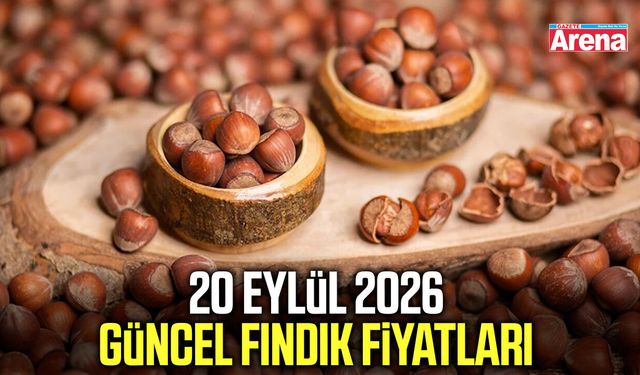20 Eylül 2026 güncel fındık fiyatları