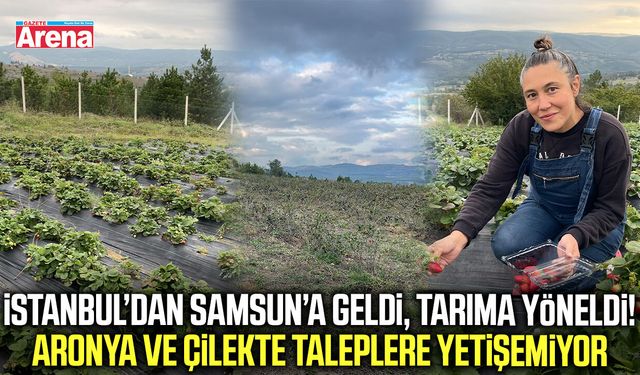 İstanbul’dan Samsun’a geldi, tarıma yöneldi!