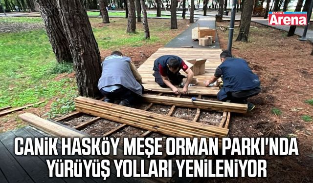 Canik'te Hasköy Meşe Orman Parkı'na bakım
