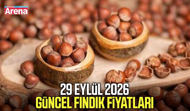 29 Eylül 2026 güncel fındık fiyatları