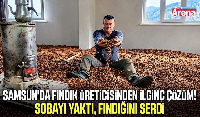 Samsun'da yağmur fındık üreticisini çaresiz bıraktı!