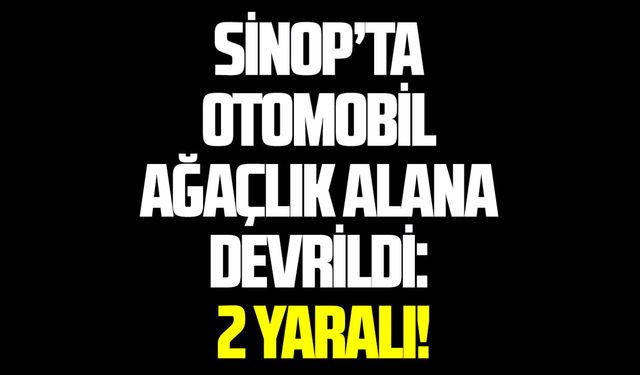Sinop’ta otomobil ağaçlık alana devrildi: 2 yaralı!