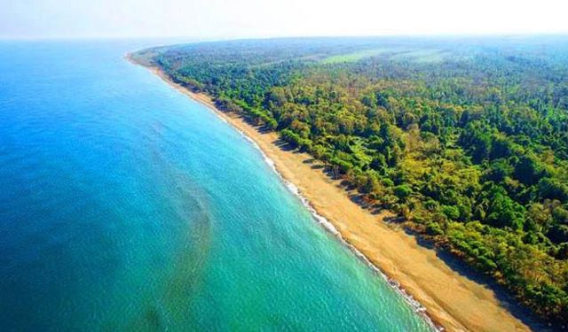Terme Amazon Tabiat Parkı Tesis Yapım İhalesi