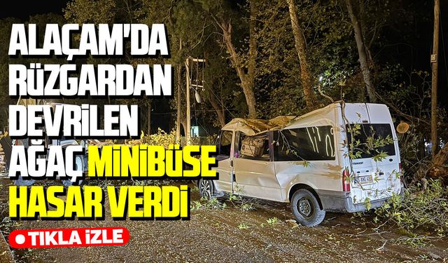 Alaçam'da rüzgardan devrilen ağaç minibüse hasar verdi