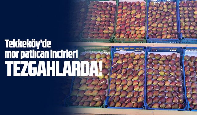 Tekkeköy'de mor patlıcan incirleri müşterilerini bekliyor