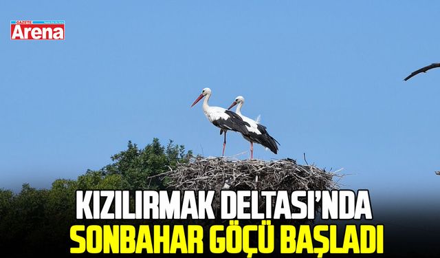 Samsun Kızılırmak Deltası’nda sonbahar göçü başladı