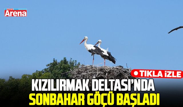 Samsun Kızılırmak Deltası’nda sonbahar göçü başladı