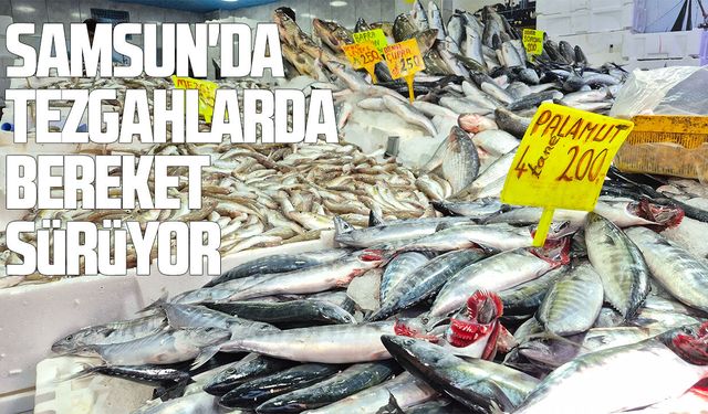 Samsun'da balık fiyatlarından herkes memnun