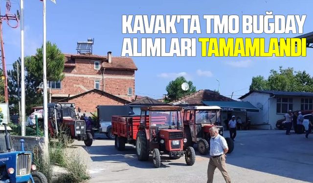 Kavak'ta TMO buğday alımları tamamlandı