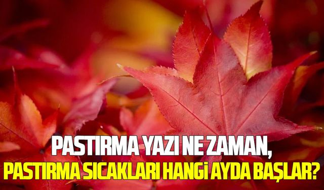 Pastırma yazı ne zaman 2026? Pastırma sıcakları hangi ayda başlar?