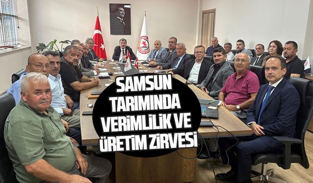 Samsun tarımında verimlilik ve üretim zirvesi