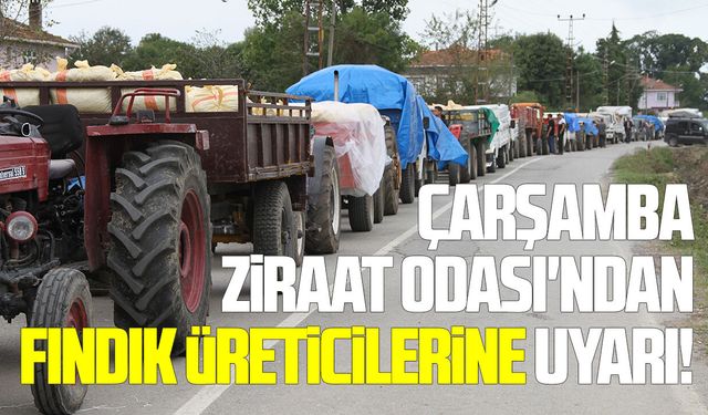 Çarşamba Ziraat Odası'ndan fındık üreticilerine uyarı