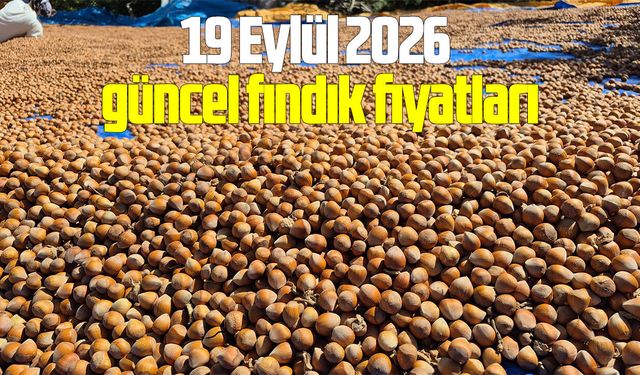 19 Eylül 2026 güncel fındık fiyatları