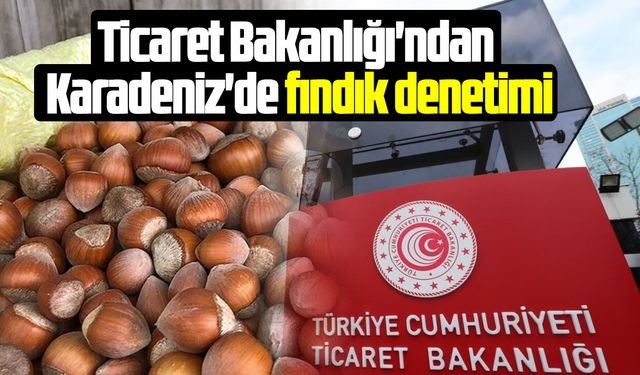 Ticaret Bakanlığı'ndan Karadeniz'de fındık denetimi
