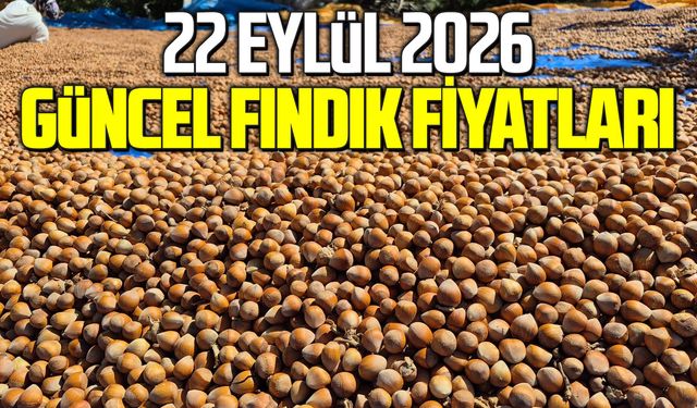 22 Eylül 2026 güncel fındık fiyatları