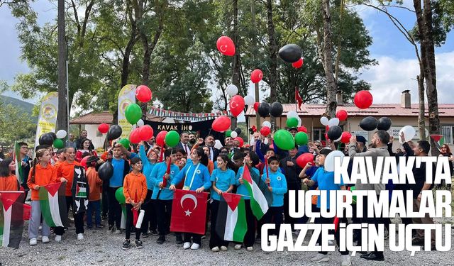 Kavak'ta uçurtmalar Gazze için uçtu
