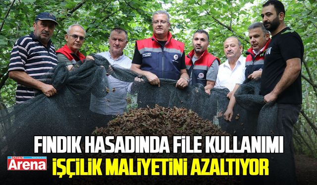 Fındık hasadında file kullanımı işçilik maliyetini yüzde 70 azaltıyor