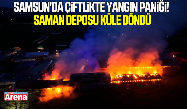 Samsun'da çiftlikte yangın paniği! Saman deposu küle döndü