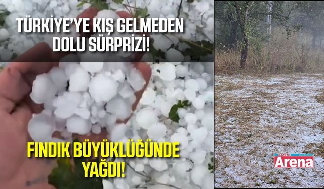 Kış gelmeden dolu yağdı! Yollar ve tarlalar beyaza büründü