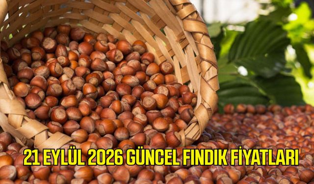 21 Eylül 2026 güncel fındık fiyatları