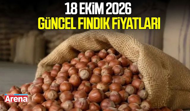 18 Ekim 2026 güncel fındık fiyatları
