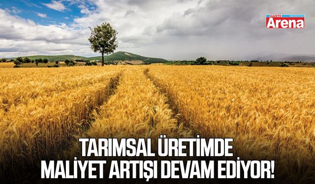 Tarımsal üretimde maliyet artışı devam ediyor!