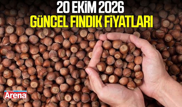 20 Ekim 2026 güncel fındık fiyatları