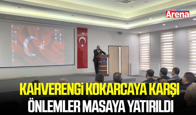 Kahverengi kokarcaya karşı önlemler masaya yatırıldı
