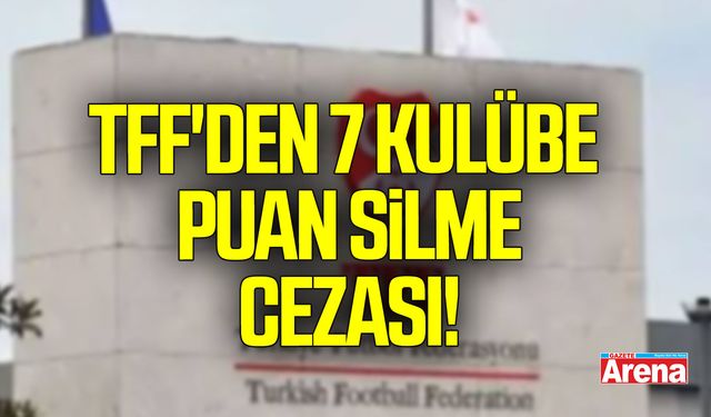TFF'den 7 kulübe puan silme cezası