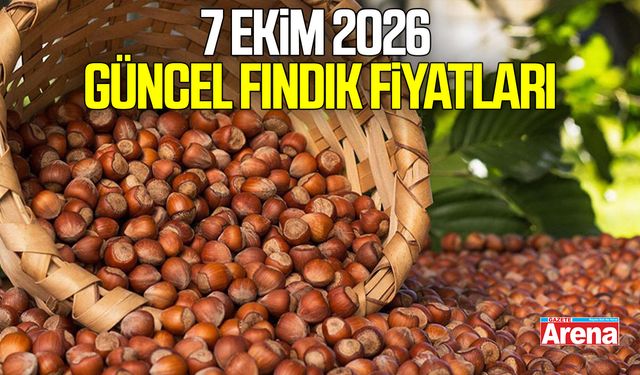 7 Ekim 2026 güncel fındık fiyatları