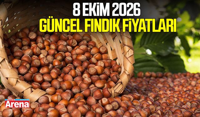 8 Ekim 2026 güncel fındık fiyatları