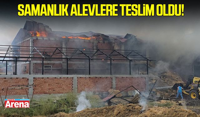 Samsun’da samanlık alevlere teslim oldu!