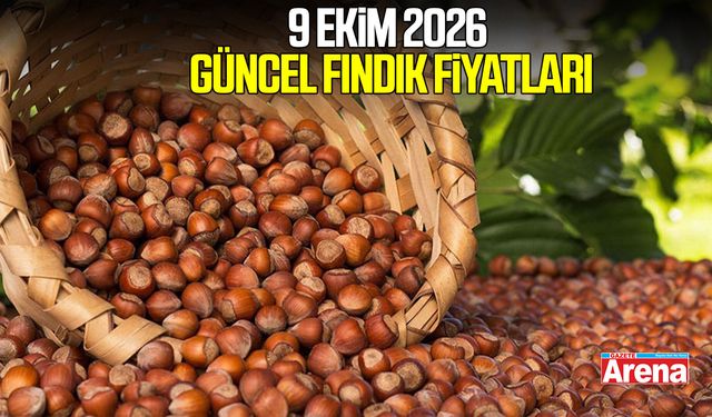 9 Ekim 2026 güncel fındık fiyatları