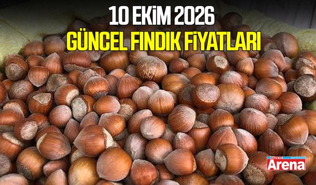 10 Ekim 2026 güncel fındık fiyatları