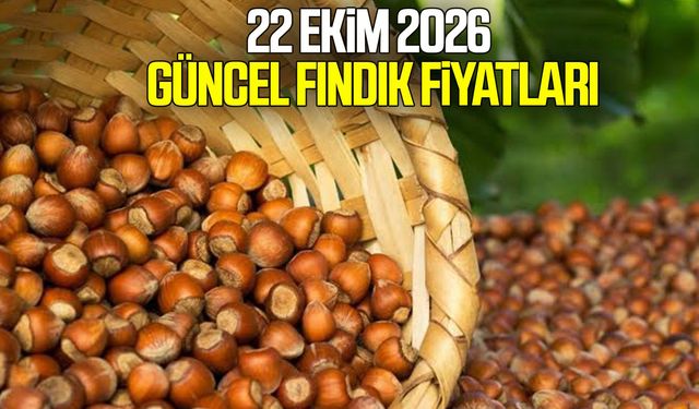 22 Ekim 2026 Güncel fındık fiyatları