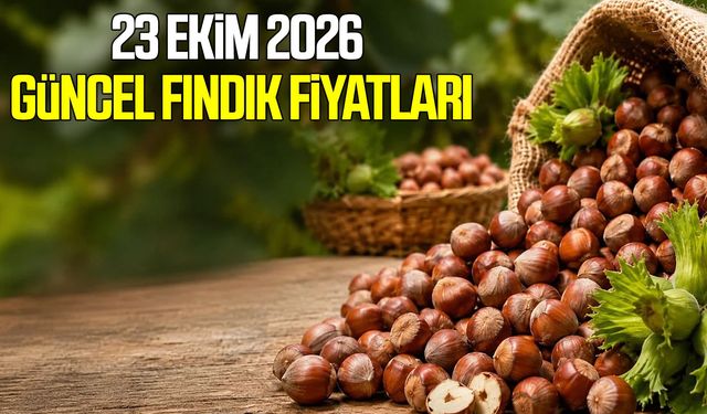 23 Ekim 2026 güncel fındık fiyatları